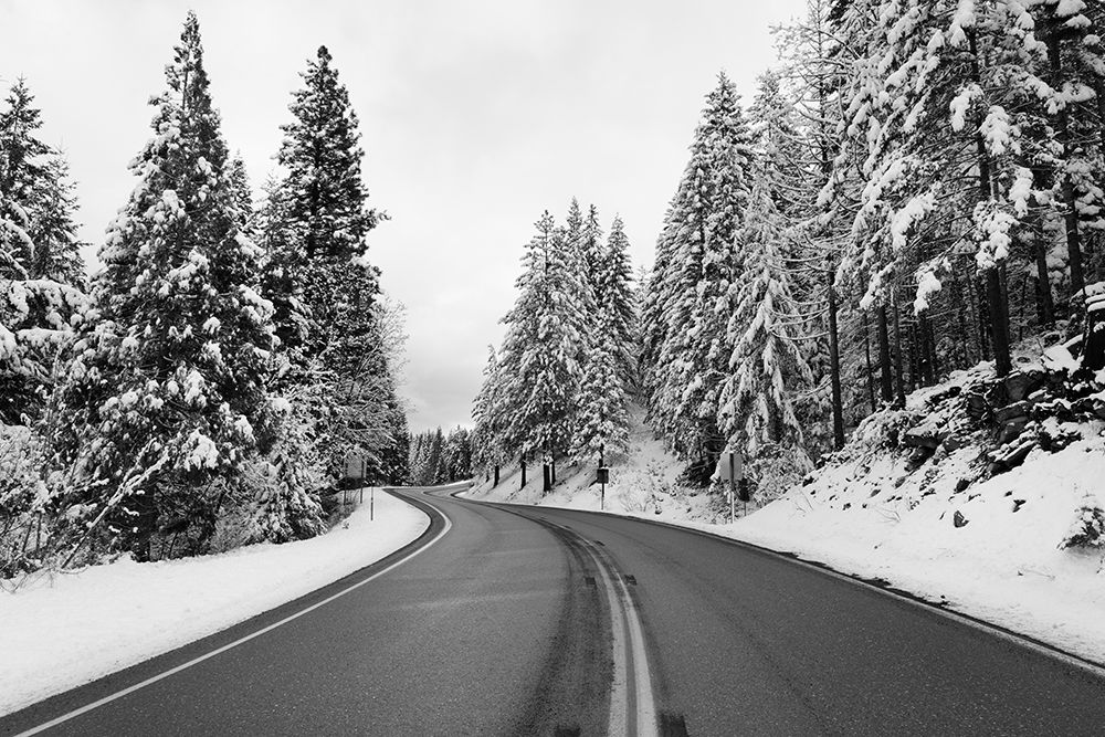 Winter wonderland along California Highway 36 art print by Carol Highsmith for $57.95 CAD