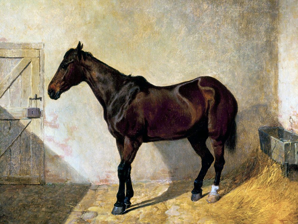 Horse art print by John Frederick Herring for $57.95 CAD