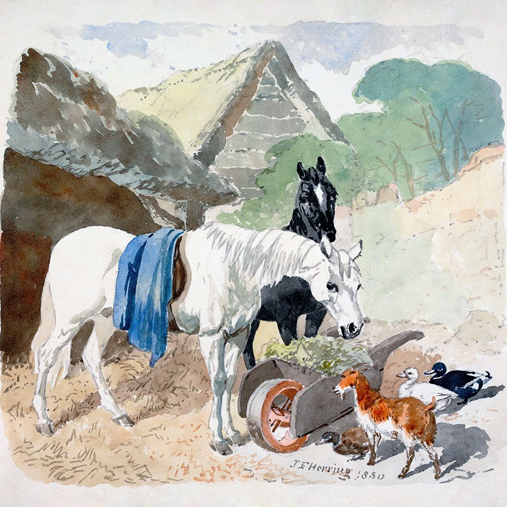 Two Horses Eating From a Wheel-Barrow Watched by a Goat and Three Ducks art print by John Frederick Herring for $57.95 CAD