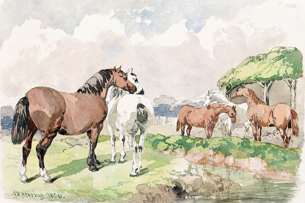 Five Horses near a Brook art print by John Frederick Herring for $57.95 CAD