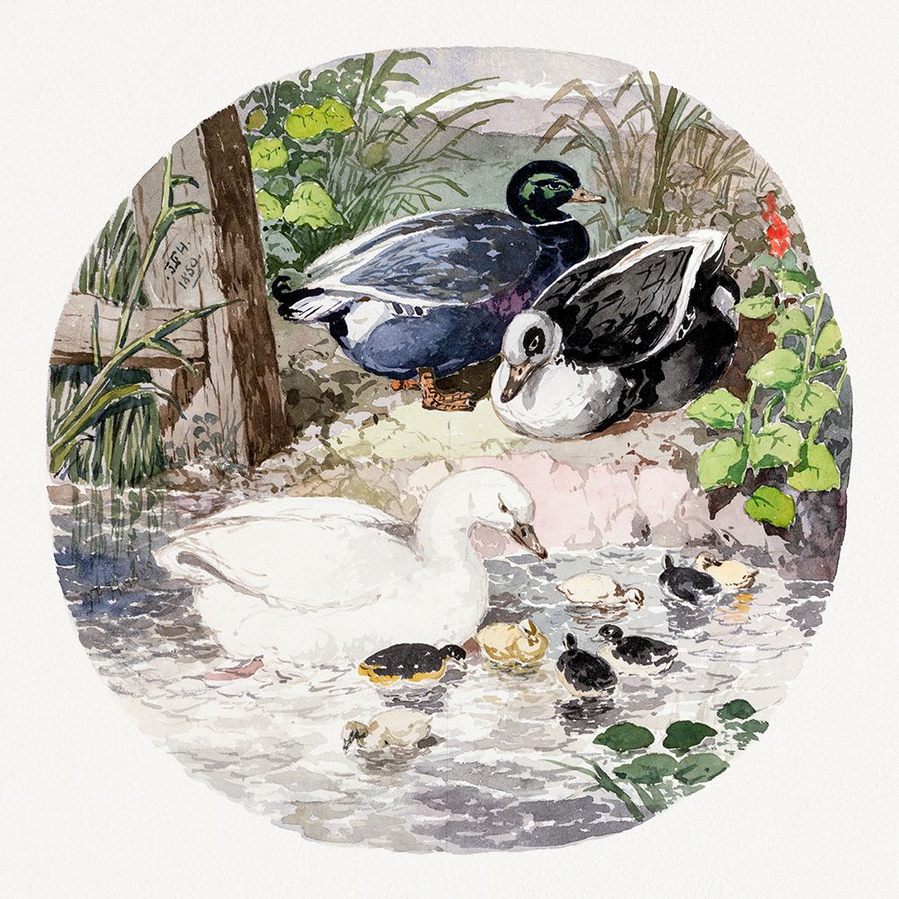 British Ducks art print by John Frederick Herring for $57.95 CAD