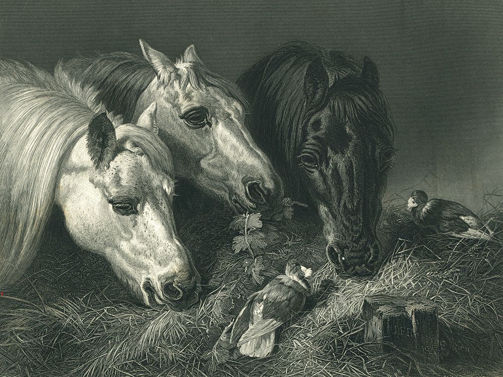 Le Maigre Repas - Steel Engraving art print by John Frederick Herring for $57.95 CAD