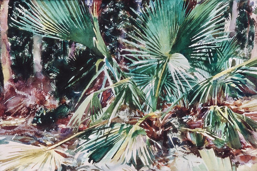 Palmettos art print by John Singer Sargent for $57.95 CAD