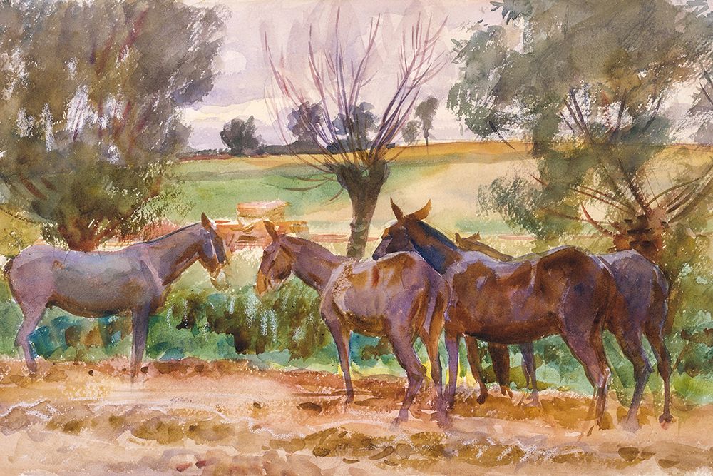 Mules art print by John Singer Sargent for $57.95 CAD