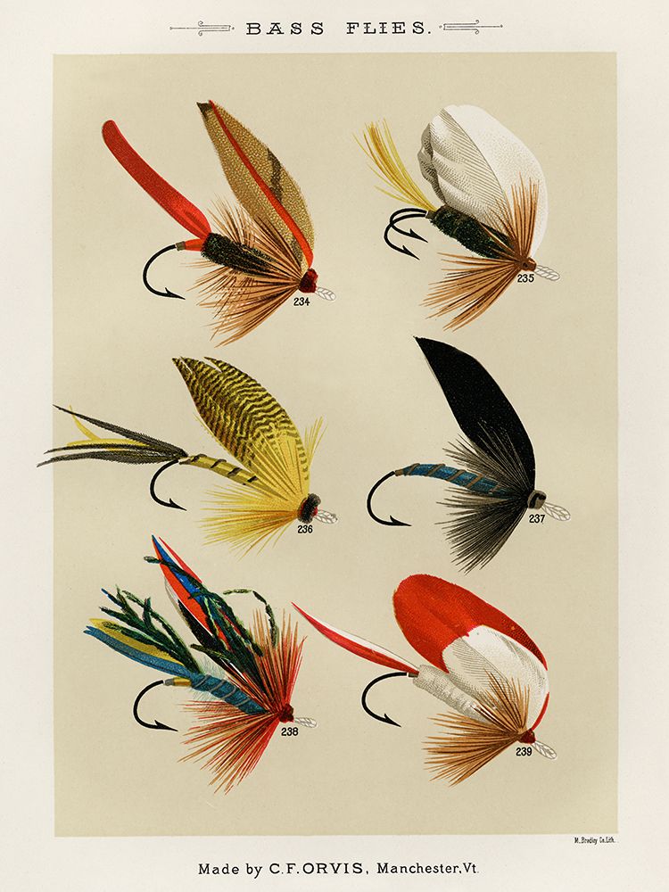 Bass Fishing Flies III from Favorite Flies and Their Histories art print by Mary Orvis Marbury for $57.95 CAD