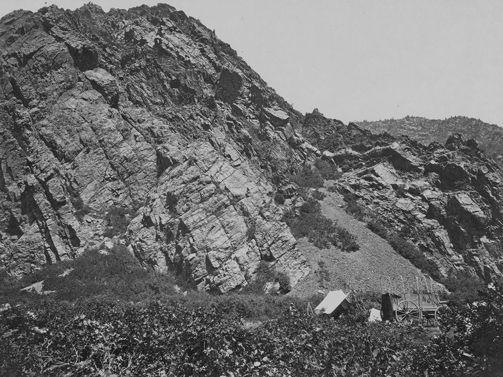 Cottonwood Wahsatch-Utah art print by Timothy H OSullivan for $57.95 CAD