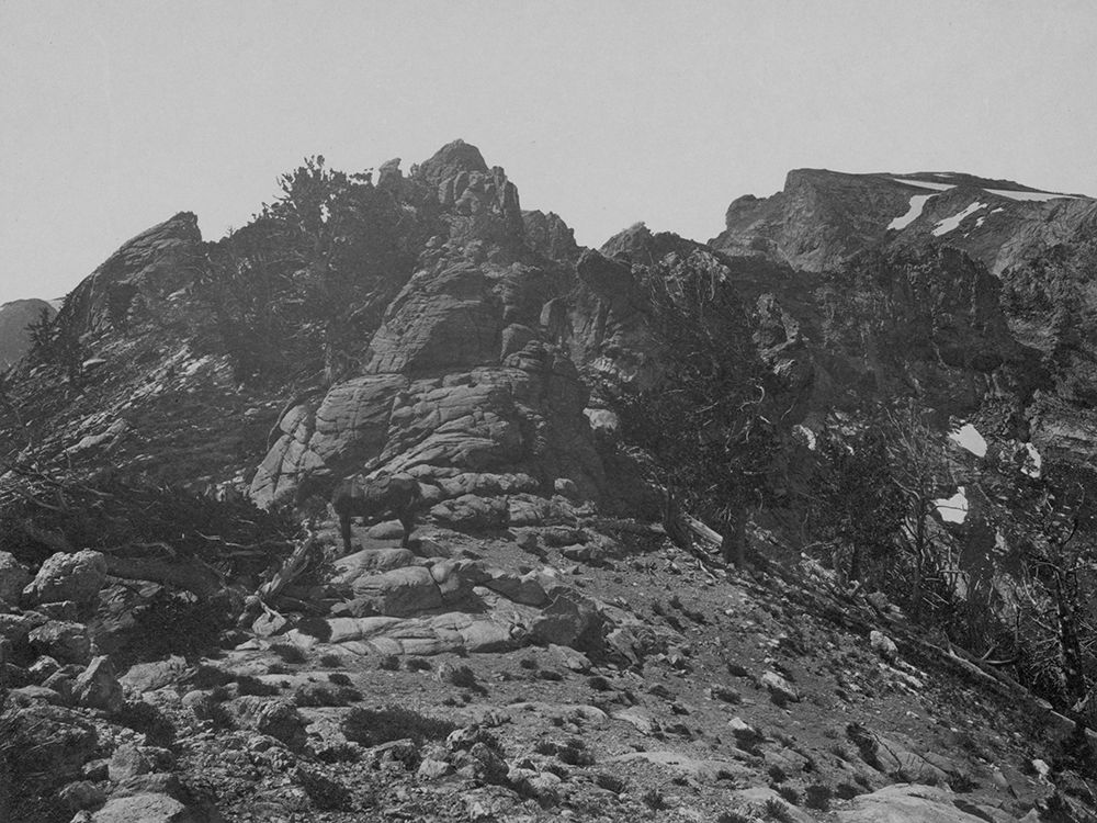 Summit-Humboldt Mountains-Nevada art print by Timothy H OSullivan for $57.95 CAD