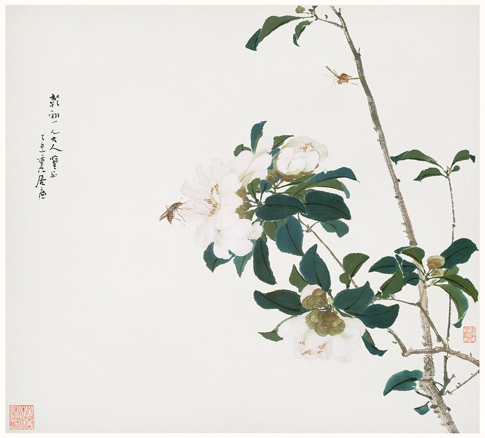 Insects and Flowers II art print by Ju Lian for $57.95 CAD