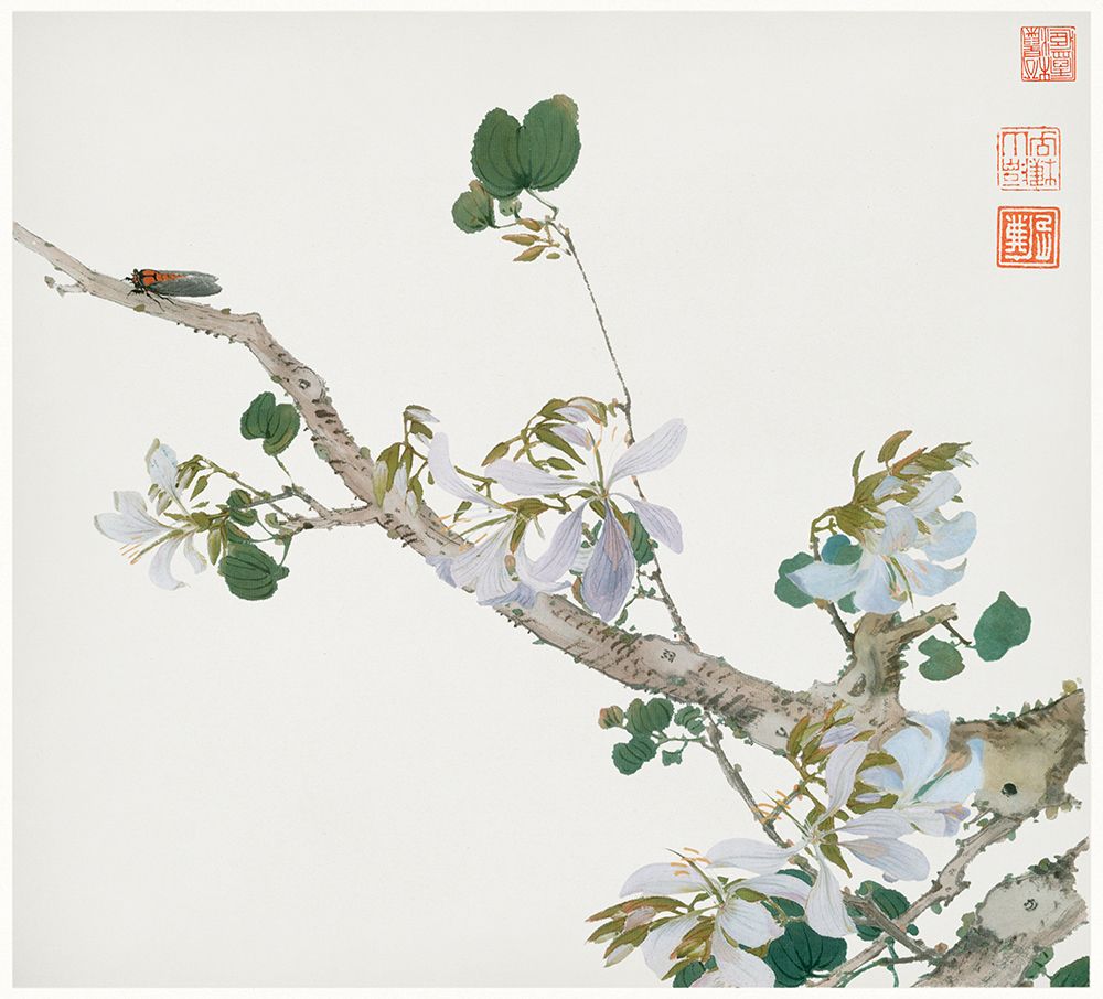 Insects and Flowers VI art print by Ju Lian for $57.95 CAD