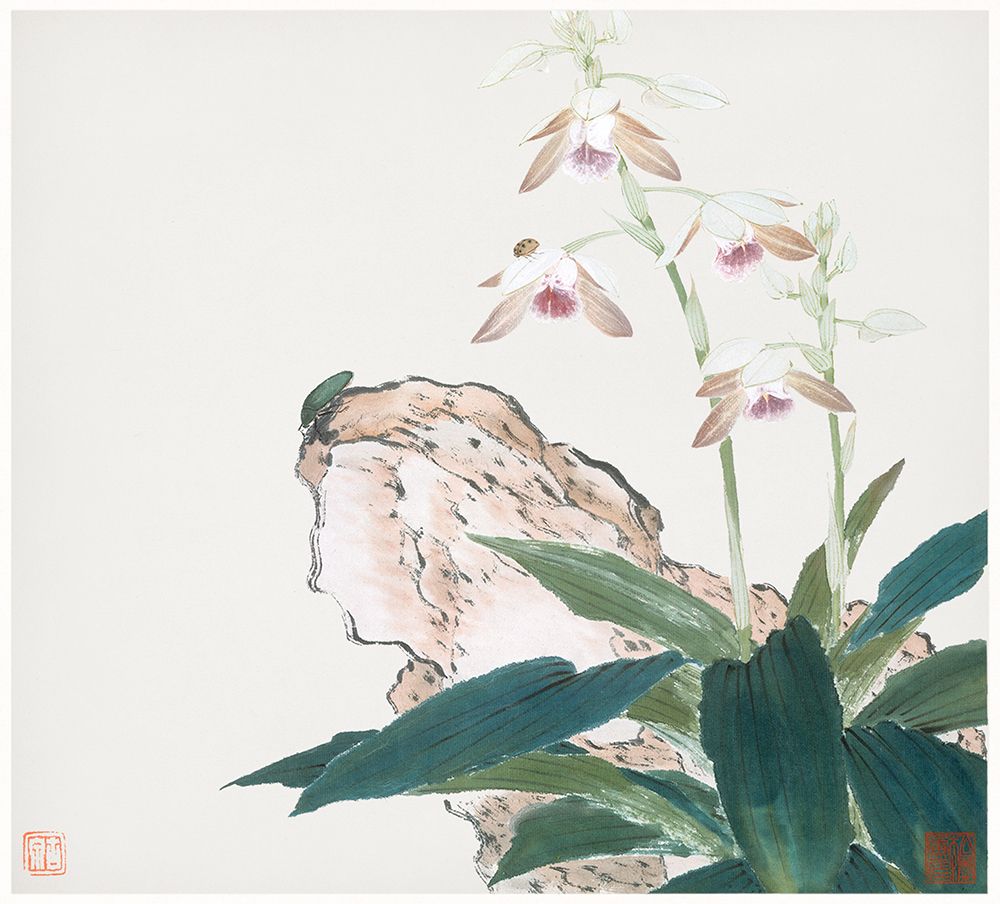 Insects and Flowers VIII art print by Ju Lian for $57.95 CAD