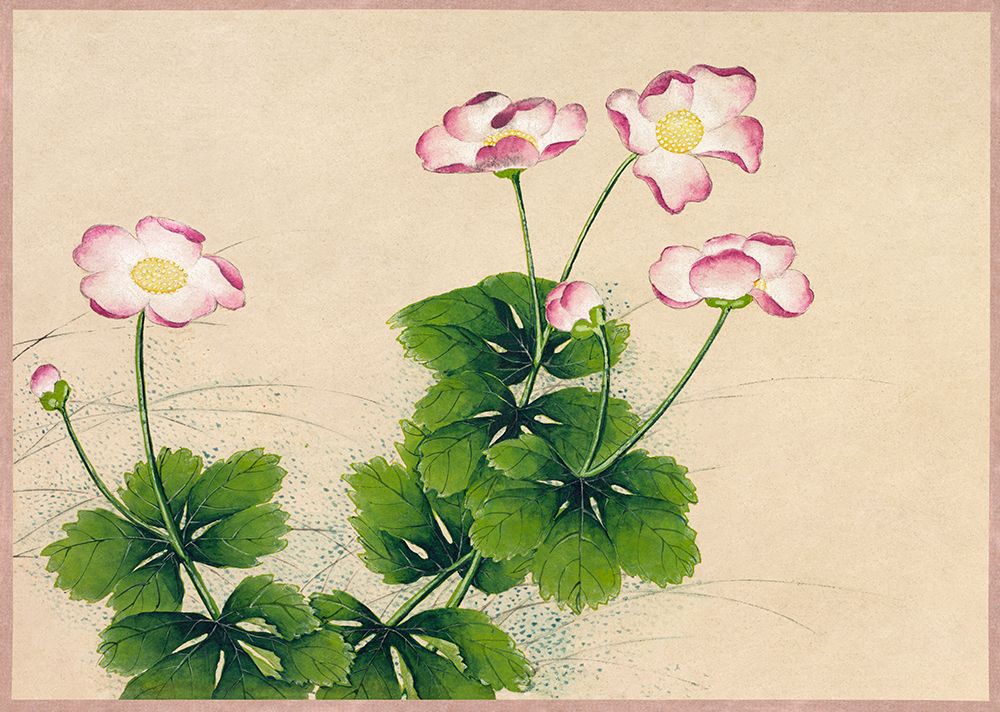 Mallow flowers art print by Zhang Ruoai for $57.95 CAD