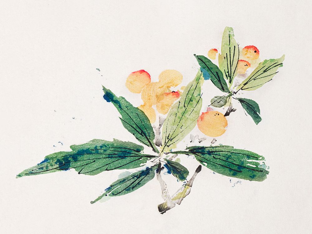 Page from Shi Zhu Zhai Gold and Red Fruit art print by Hu Zhengyan for $57.95 CAD