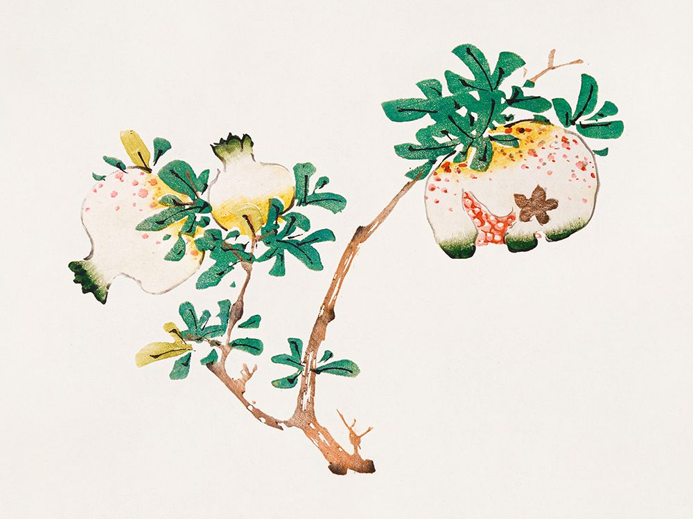 Page from Shi Zhu Zhai Pomegranite art print by Hu Zhengyan for $57.95 CAD