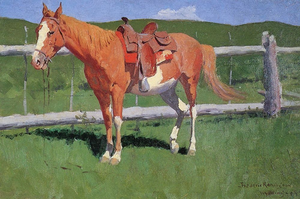 Horse Study-Wyoming art print by Frederic Remington for $57.95 CAD