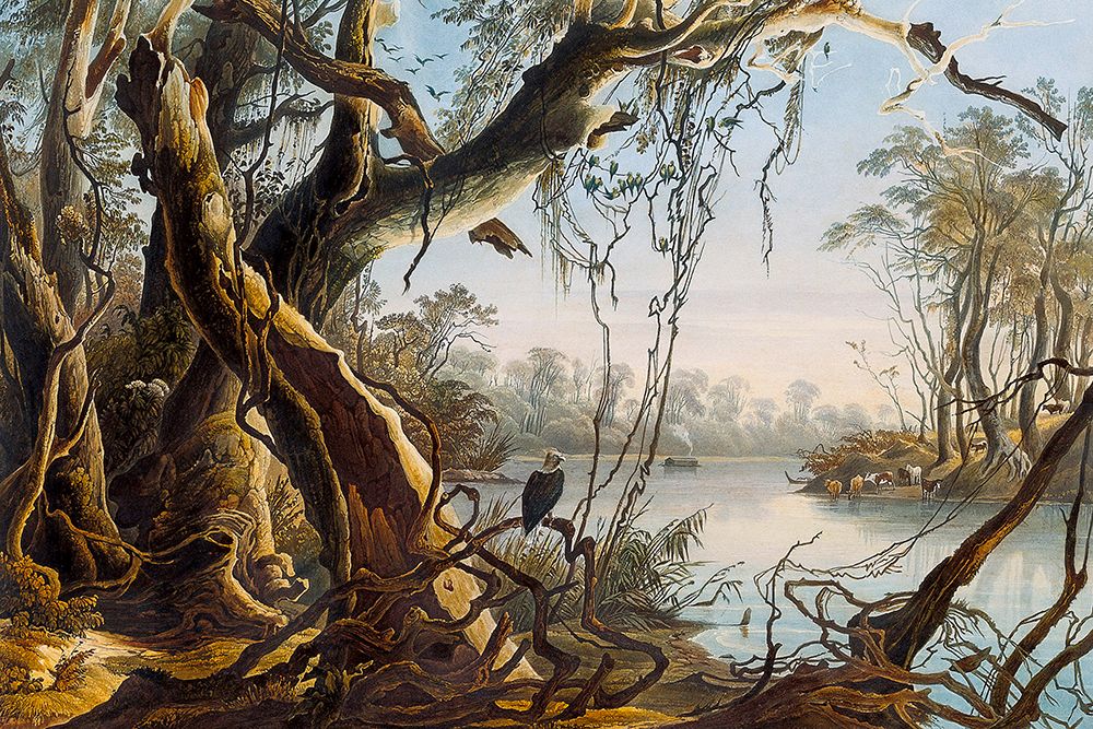 Mouth of Fox River Indiana art print by Karl Bodmer for $57.95 CAD