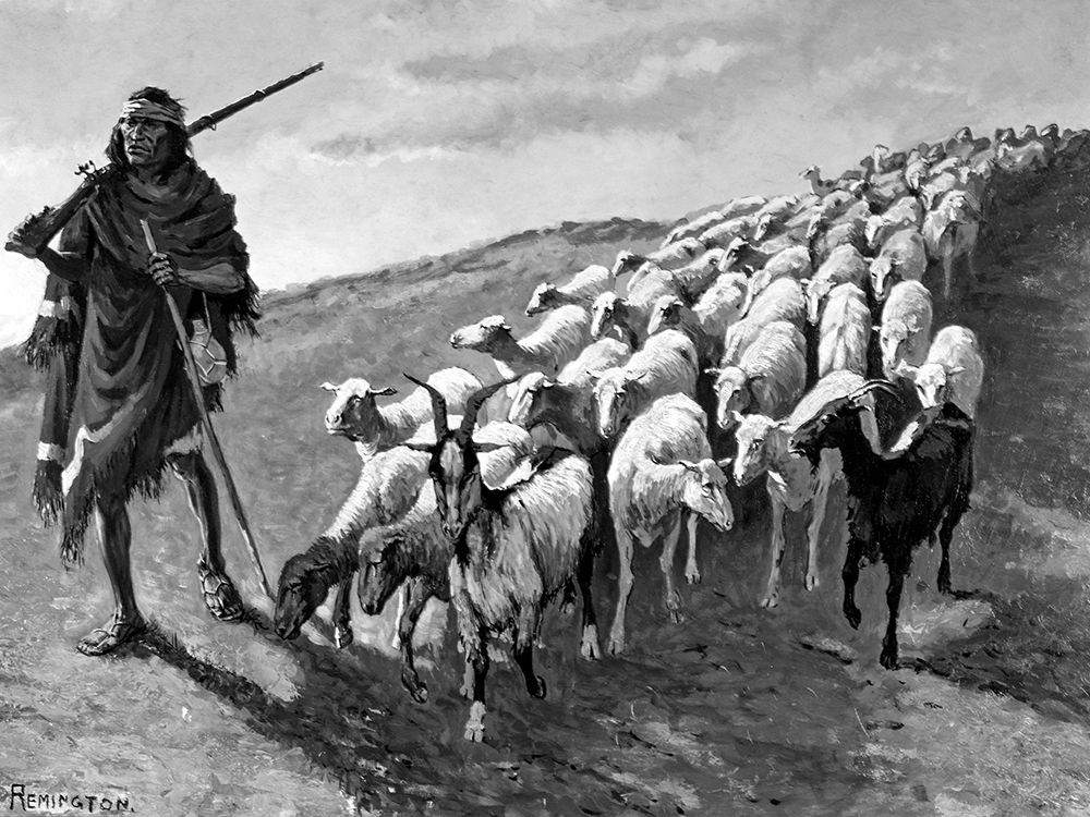 Navajo Sheepherder art print by Frederic Remington for $57.95 CAD