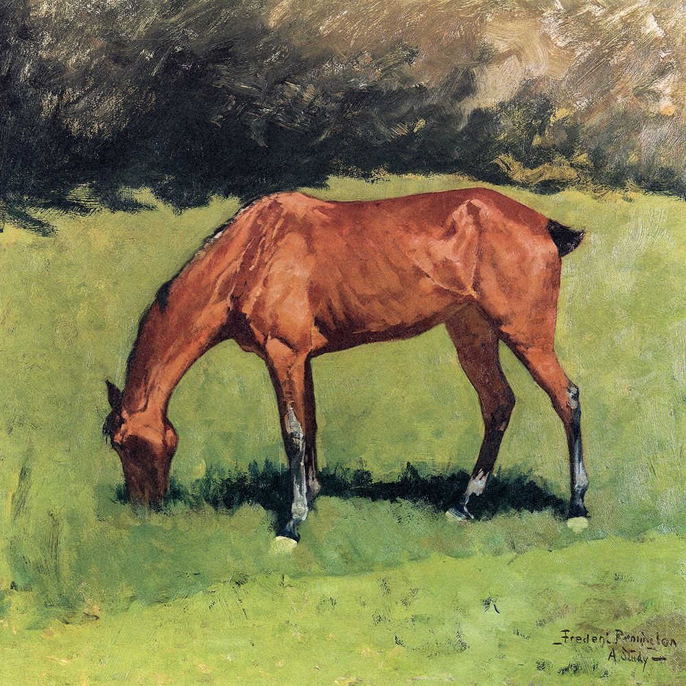 A Study art print by Frederic Remington for $57.95 CAD