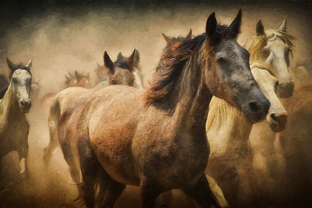 Freedom art print by The Yellowstone Collection for $57.95 CAD
