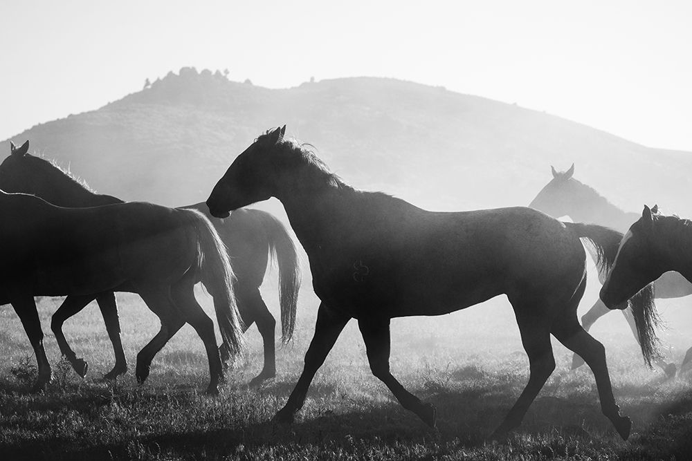 Heading Home art print by The Yellowstone Collection for $57.95 CAD