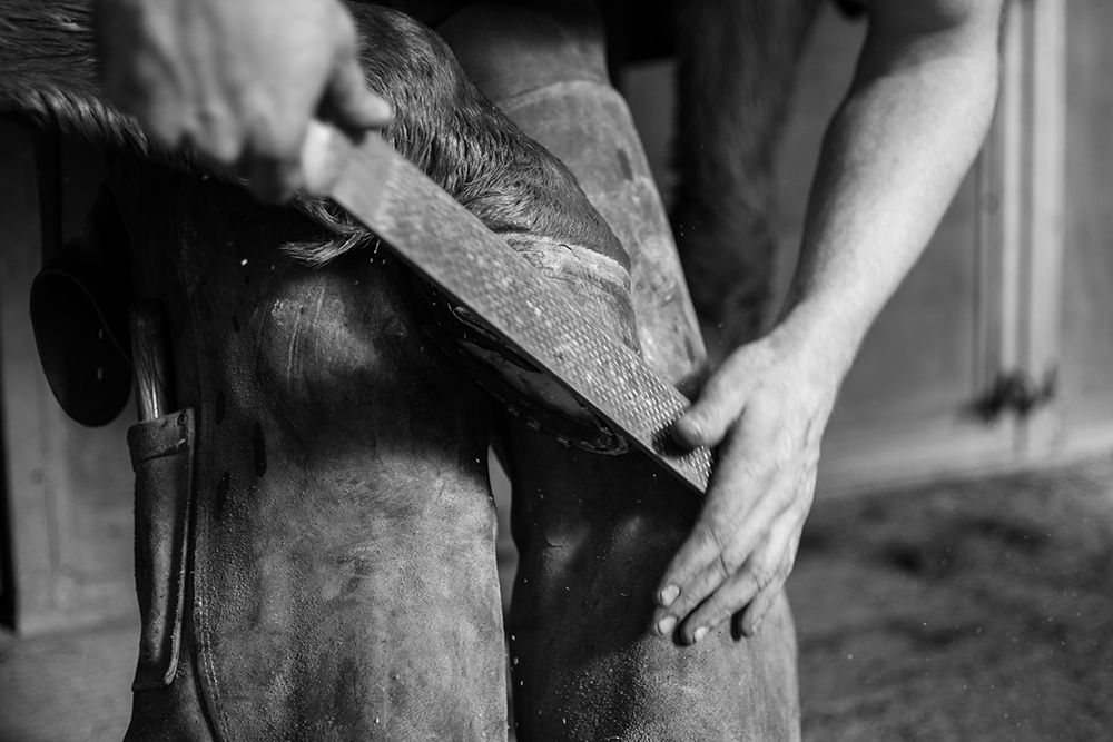 Hoof Work art print by The Yellowstone Collection for $57.95 CAD