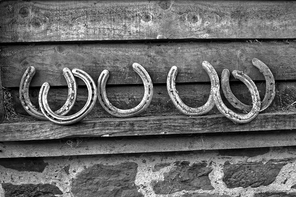 Horseshoes art print by The Yellowstone Collection for $57.95 CAD
