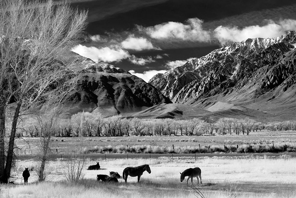 In the Shadow of the Mountain Range art print by The Yellowstone Collection for $57.95 CAD