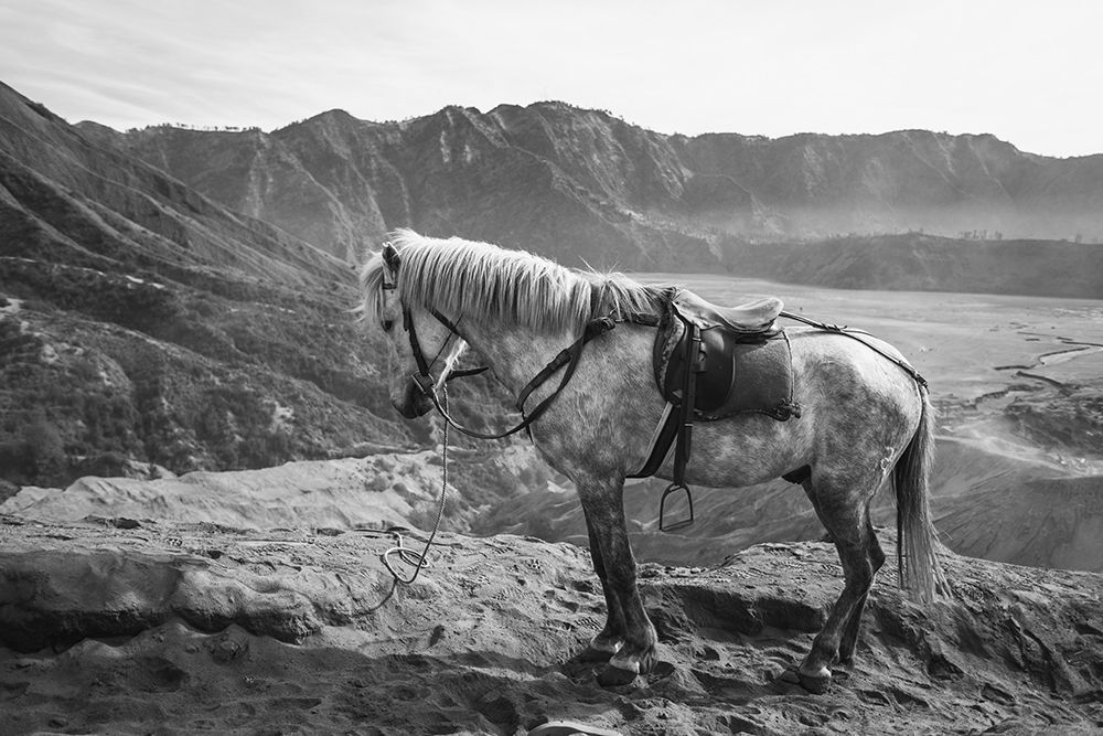 Mountain Rest Stop art print by The Yellowstone Collection for $57.95 CAD