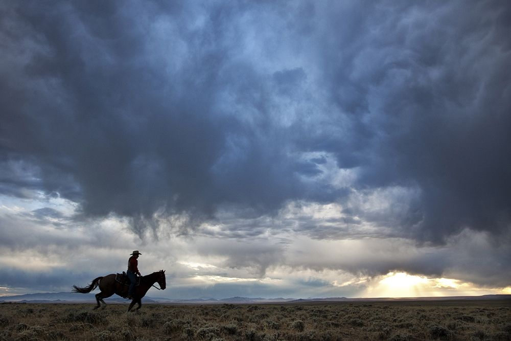 Plains Rider art print by The Yellowstone Collection for $57.95 CAD