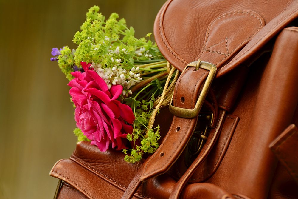 Saddle Blooms art print by The Yellowstone Collection for $57.95 CAD