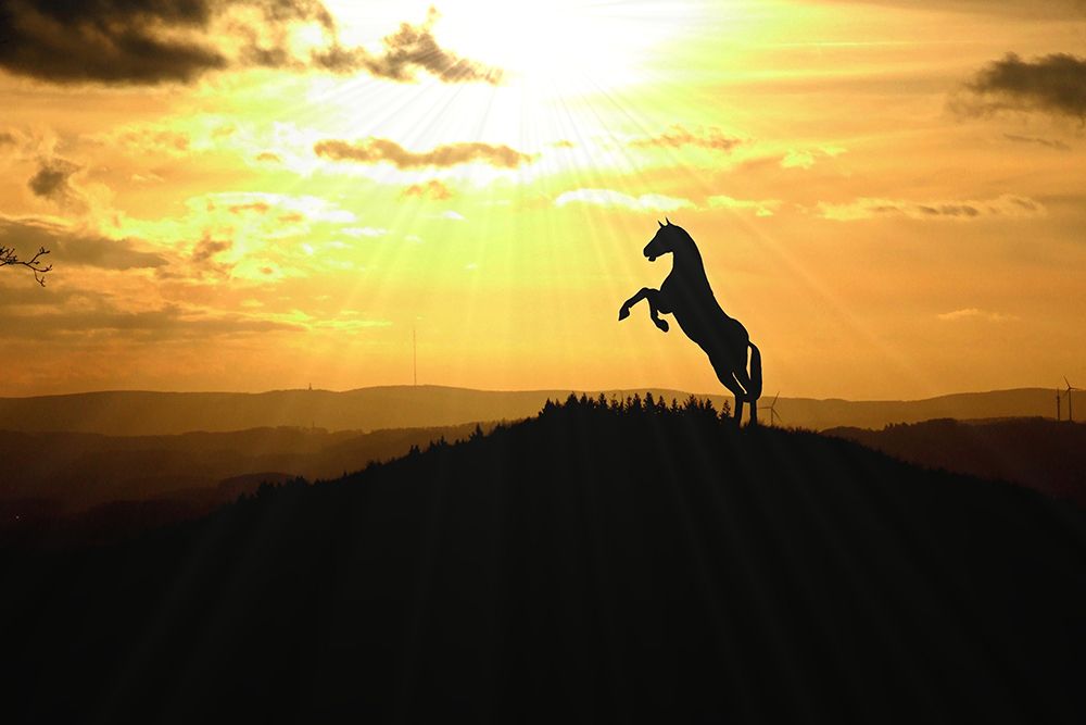 Sunset Dancer art print by The Yellowstone Collection for $57.95 CAD