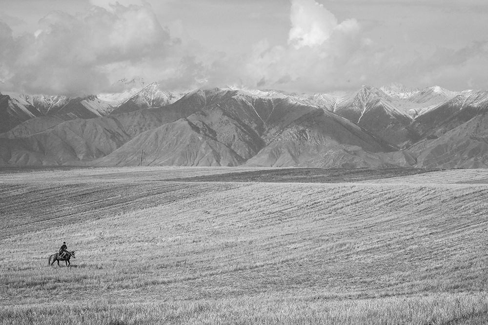 The Open Range art print by The Yellowstone Collection for $57.95 CAD