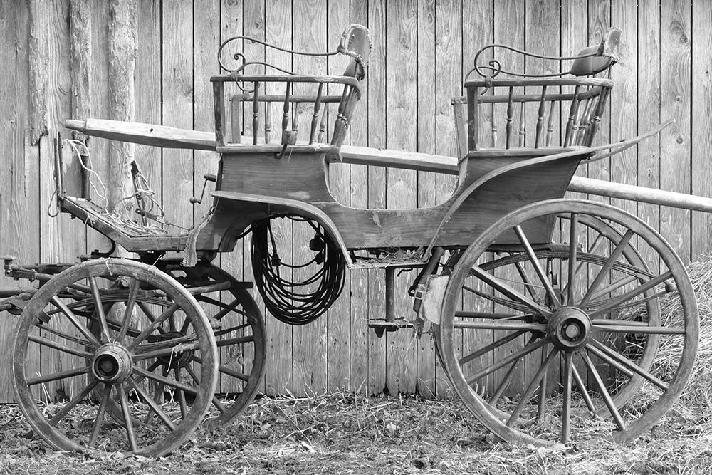 Vintage Carriage art print by The Yellowstone Collection for $57.95 CAD