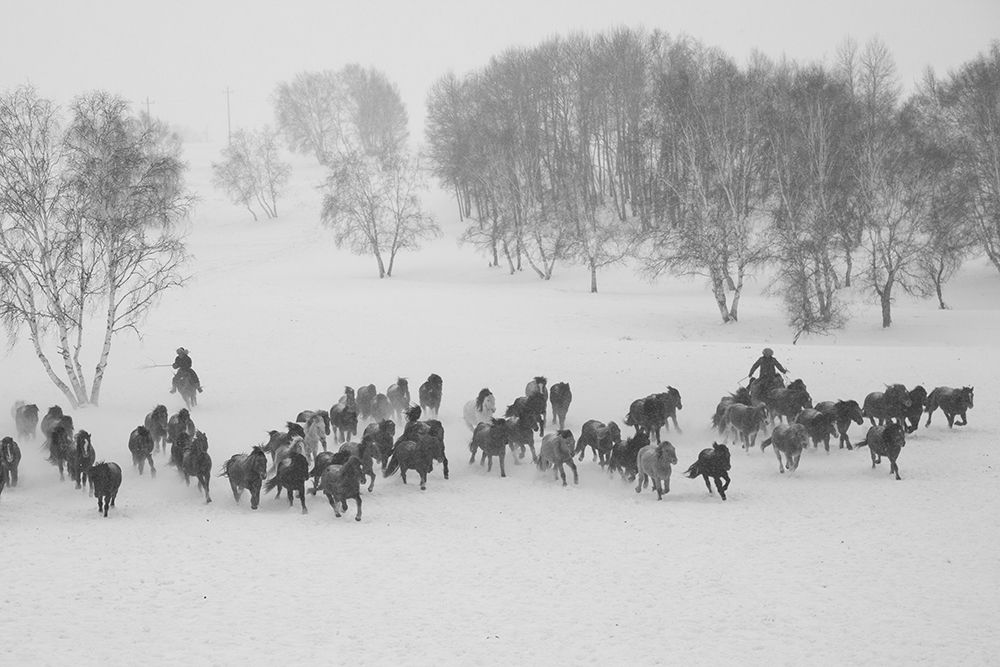 Winter Round Up art print by The Yellowstone Collection for $57.95 CAD