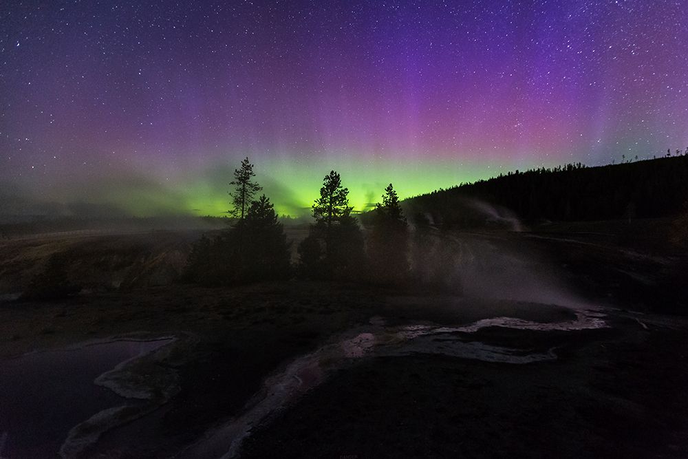 Aurora borealis II, Upper Geyser Basin, Yellowstone National Park art print by The Yellowstone Collection for $57.95 CAD
