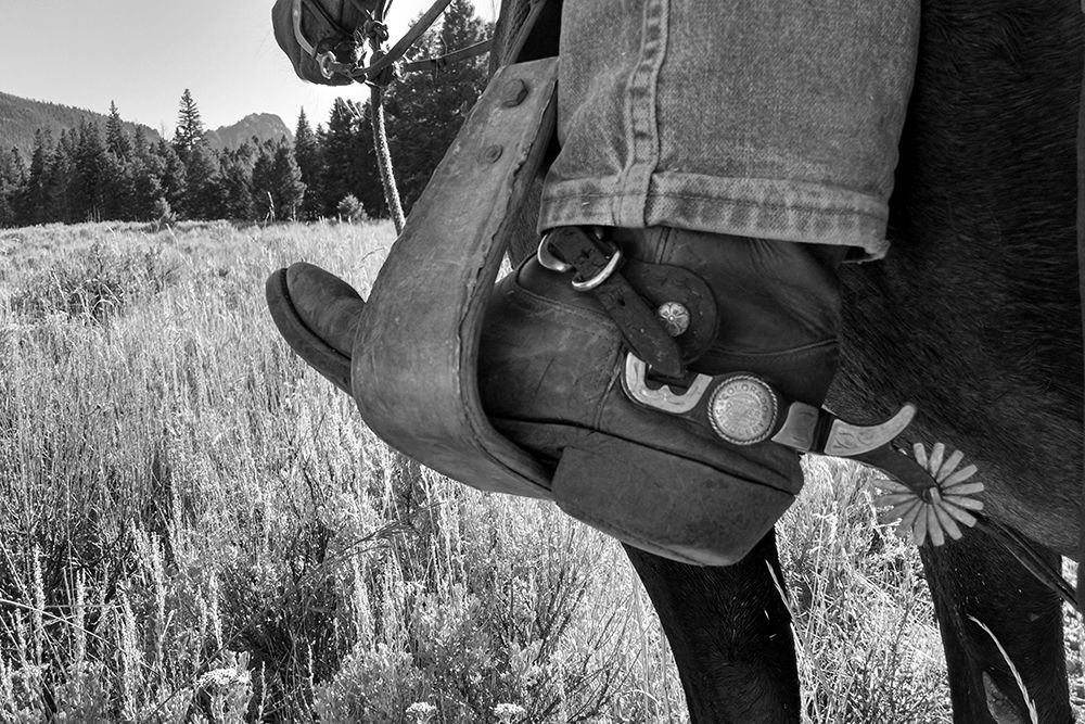 Boots in a stirrup art print by The Yellowstone Collection for $57.95 CAD