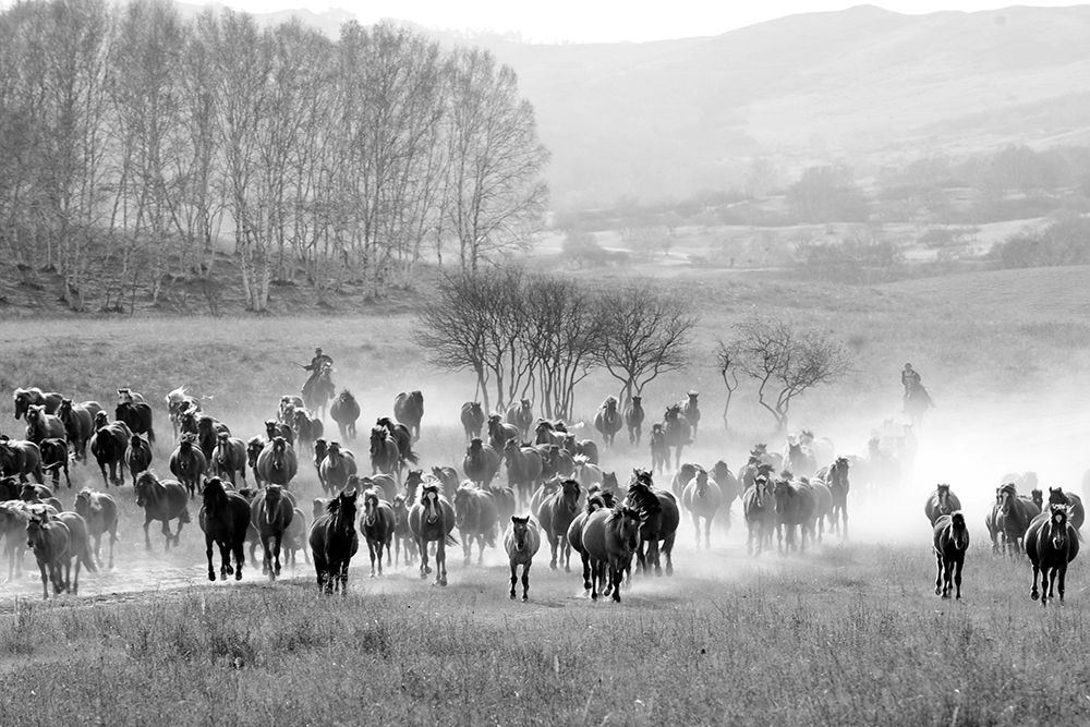 Bringing in the Horse Herd art print by The Yellowstone Collection for $57.95 CAD