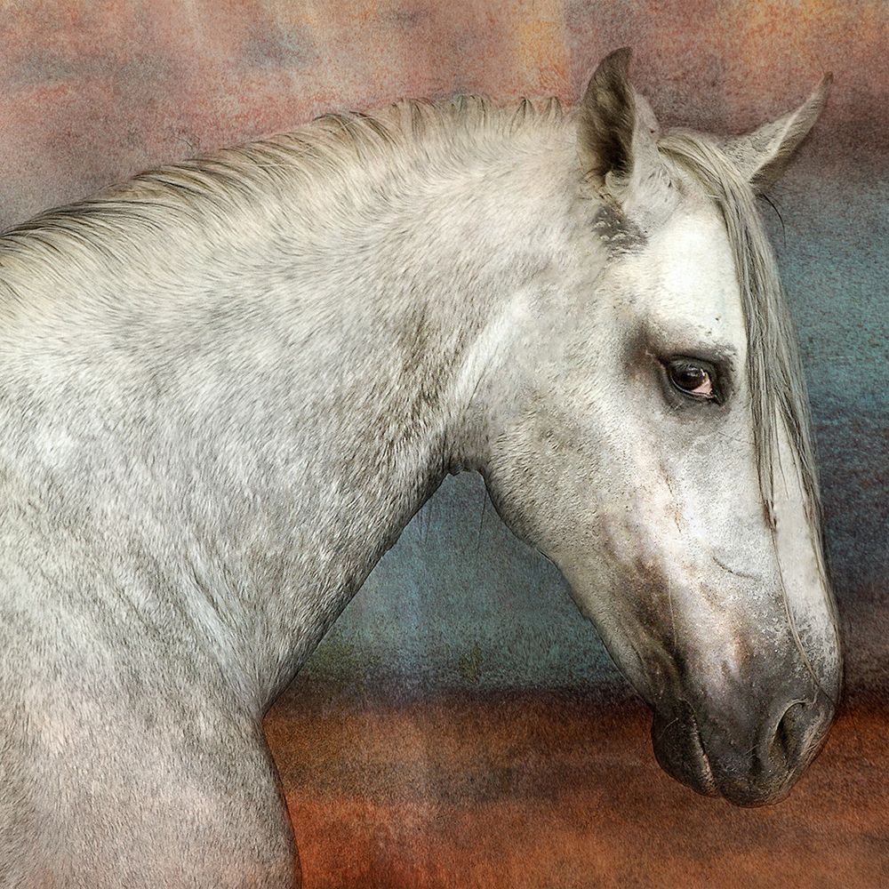 Come up and See me Sometime art print by The Yellowstone Collection for $57.95 CAD