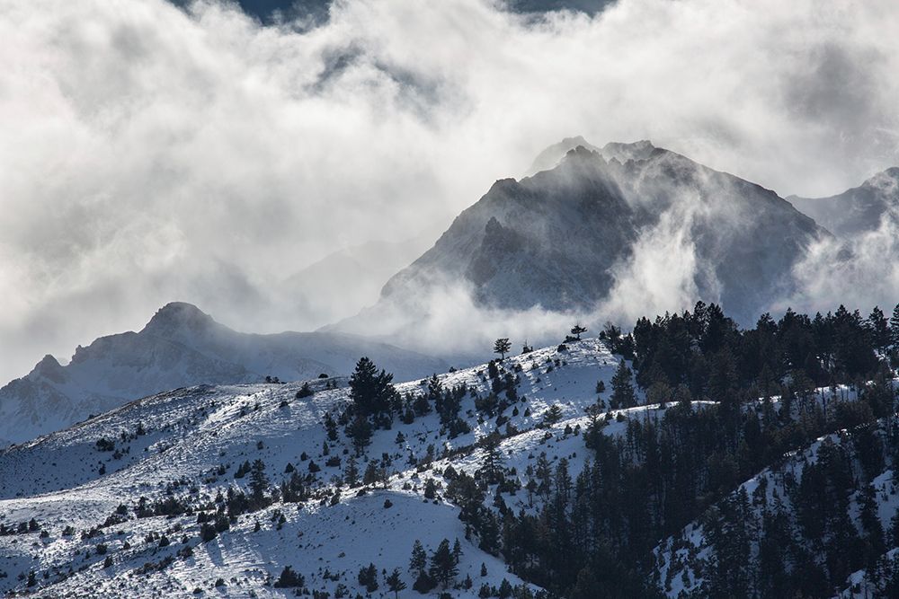 Blowing Snow, Electric Peak, Yellowstone National Park art print by The Yellowstone Collection for $57.95 CAD