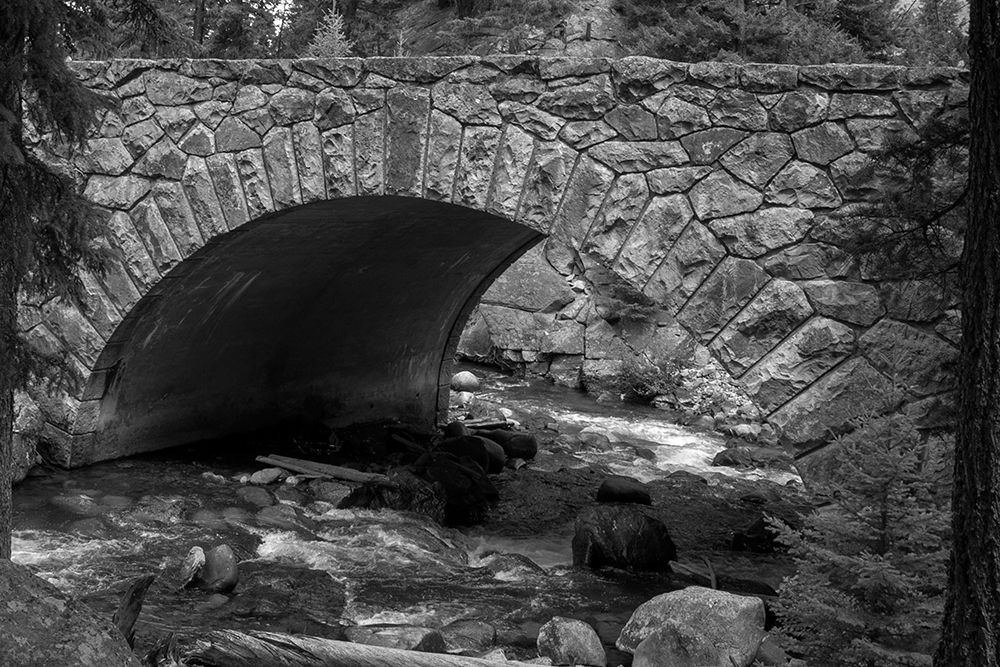 Bridge over Tower Creek, Yellowstone National Park art print by The Yellowstone Collection for $57.95 CAD