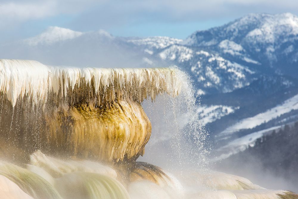 Canary Spring, Mammoth Hot Springs, Yellowstone National Park art print by The Yellowstone Collection for $57.95 CAD