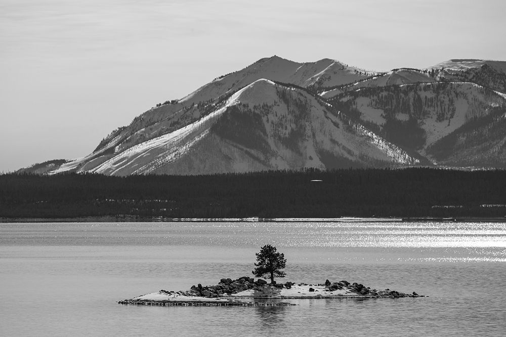 Carrington Island and Mount Sheridan, Yellowstone National Park art print by The Yellowstone Collection for $57.95 CAD