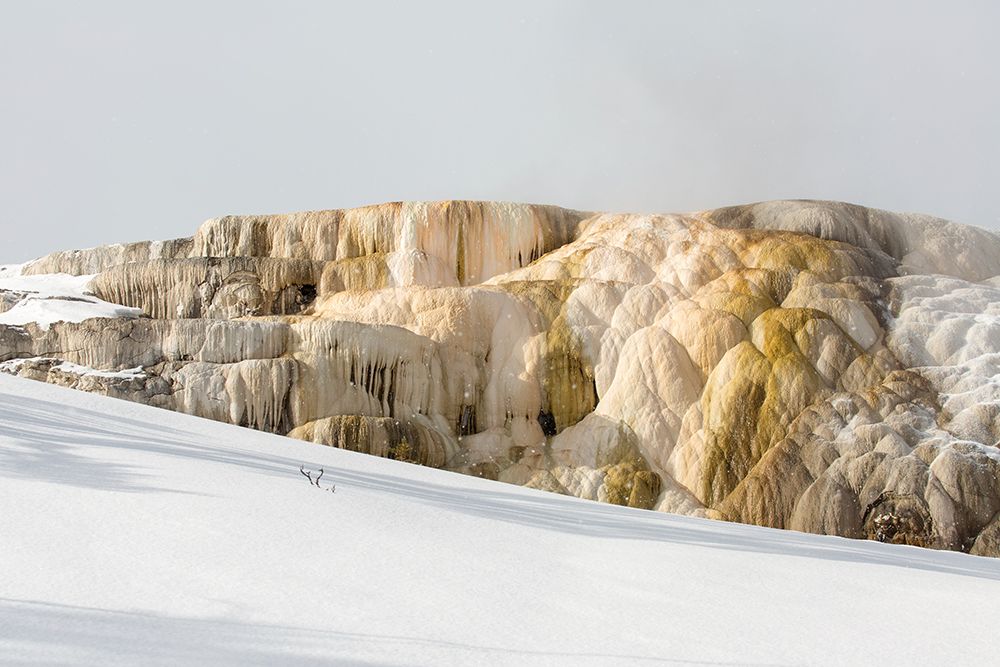 Cleopatra Spring, Mammoth Hot Springs, Yellowstone National Park art print by The Yellowstone Collection for $57.95 CAD