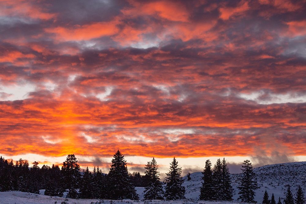 Winter Sunset in Lamar Valley, Yellowstone National Park art print by The Yellowstone Collection for $57.95 CAD