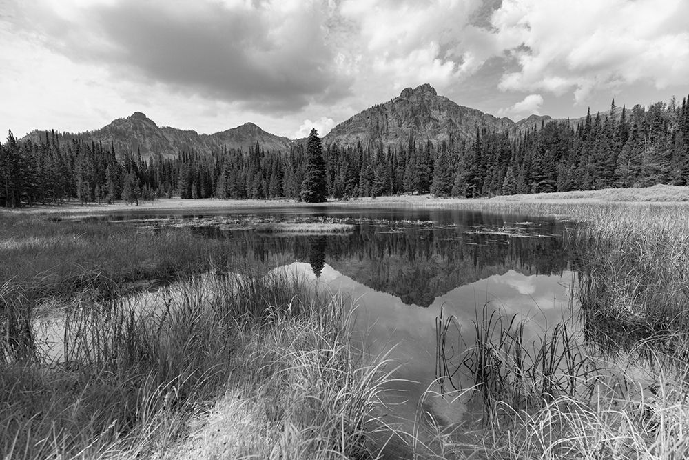 Custer-Gallatin National Forest, Knox Lake Trail, Yellowstone National Park art print by The Yellowstone Collection for $57.95 CAD