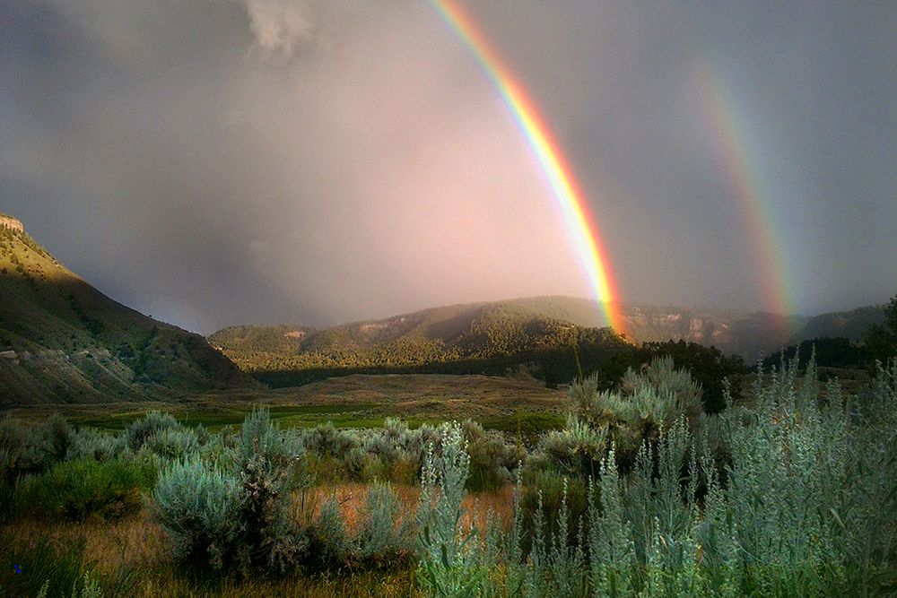 Double Rainbow from Lower Mammoth, Yellowstone National Park art print by The Yellowstone Collection for $57.95 CAD