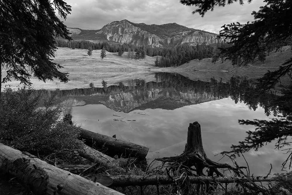Early Morning at Trout Lake, Yellowstone National Park art print by The Yellowstone Collection for $57.95 CAD