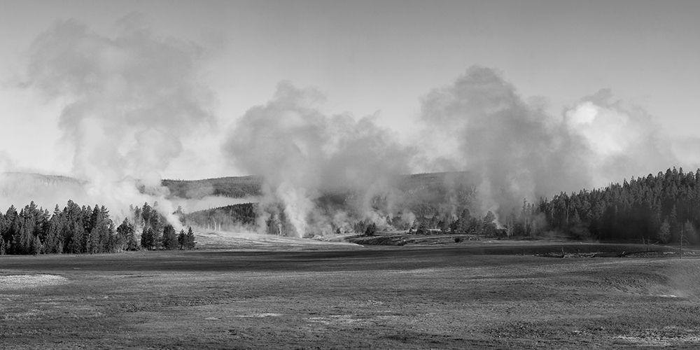 Early Morning Steam, Upper Geyser Basin, Yellowstone National Park art print by The Yellowstone Collection for $57.95 CAD