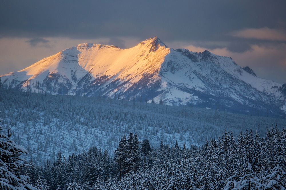 Electric Peak at Sunset, Yellowstone National Park art print by Neal Herbert for $57.95 CAD