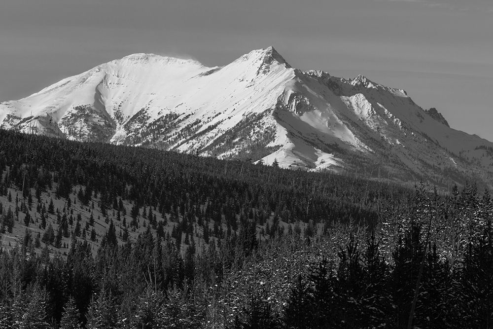 Electric Peak from Obsidian Canyon, Yellowstone National Park art print by Jacob W. Frank for $57.95 CAD