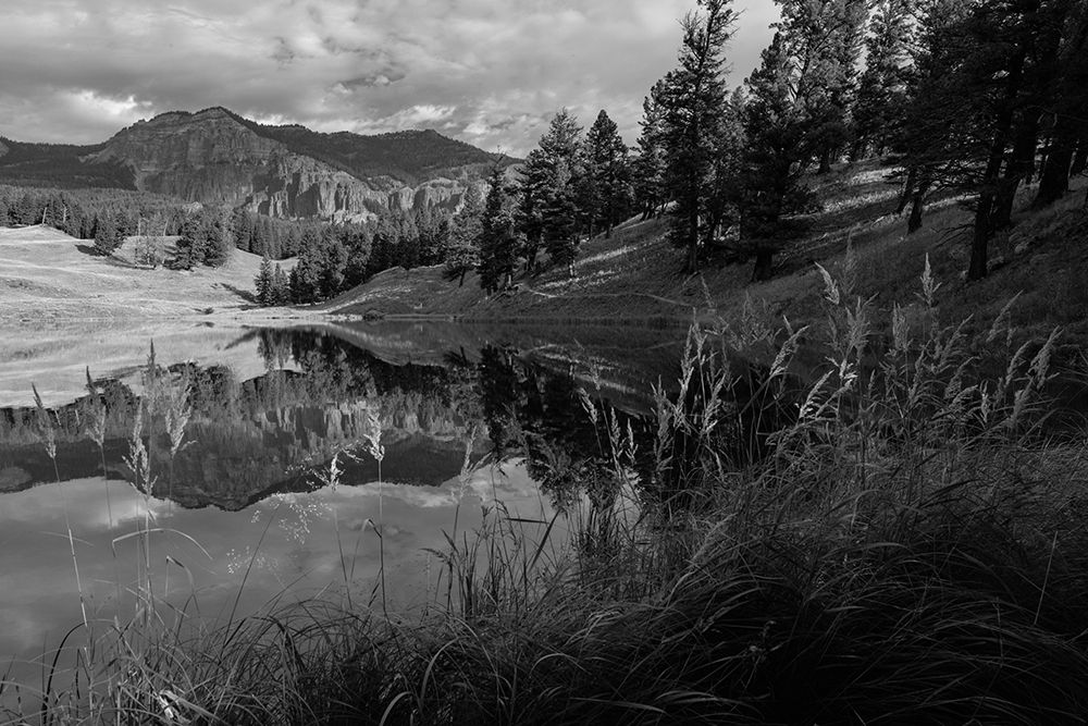 Fall Reflections at Trout Lake, Yellowstone National Park art print by Jacob W. Frank for $57.95 CAD